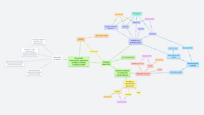 Obhajoba bakalářské práce - Kamila Herková
