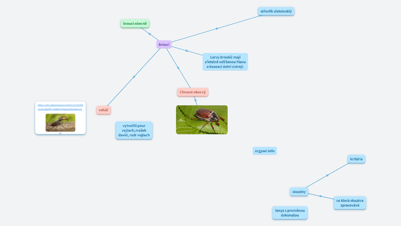 hmyz s proměnou dokonalou 6.A (Vojtěch Rádr)