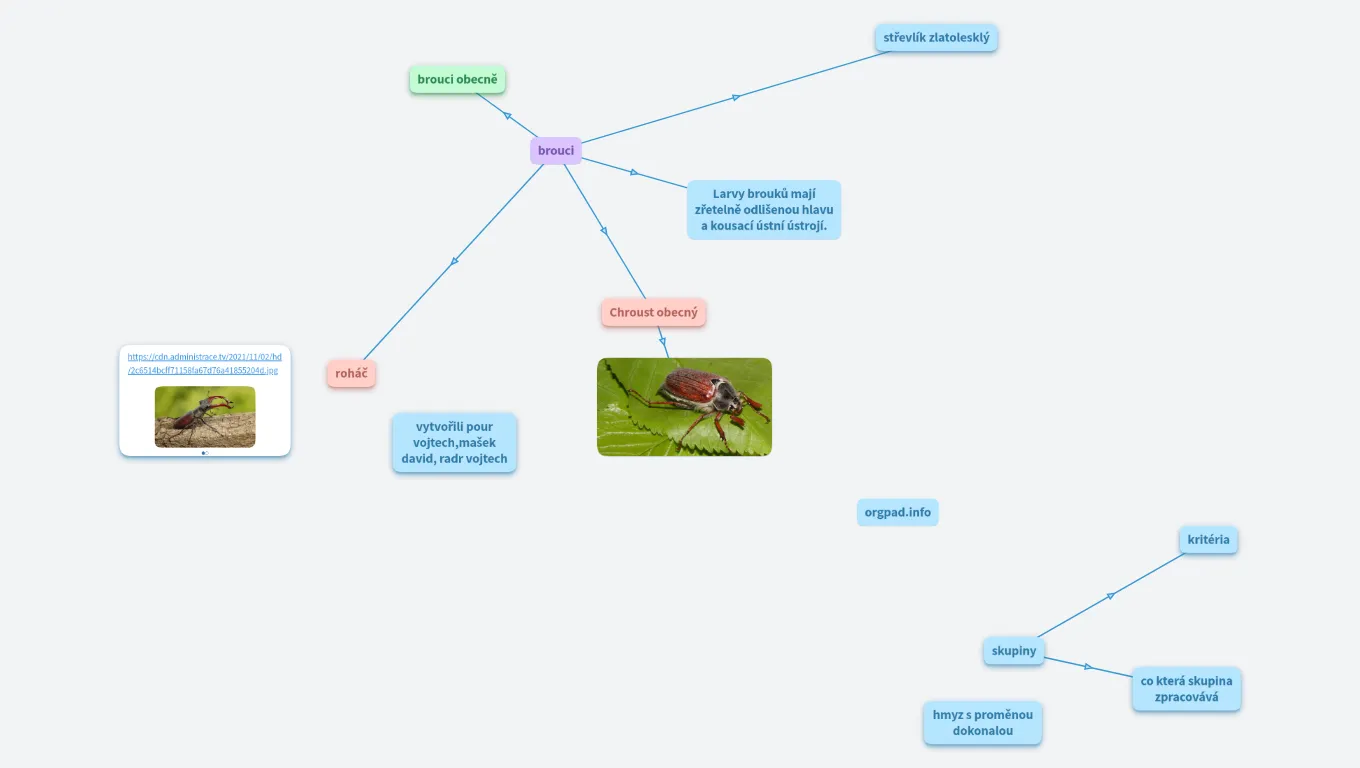 hmyz s proměnou dokonalou 6.A (Vojtěch Rádr)