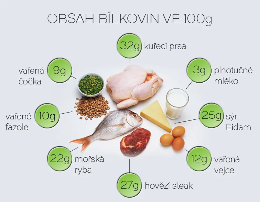 Bílkoviny