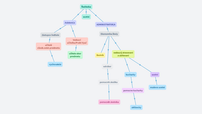 Organizacni struktura