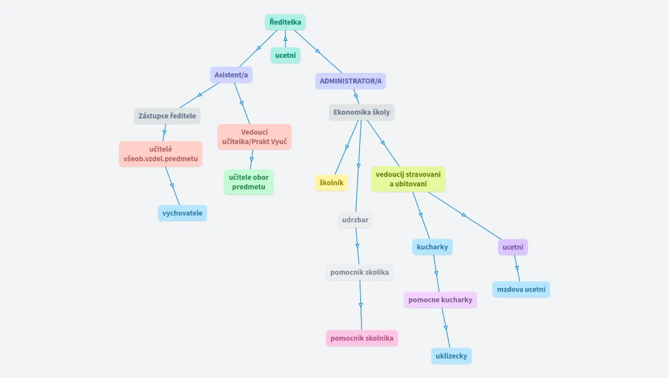 Organizacni struktura
