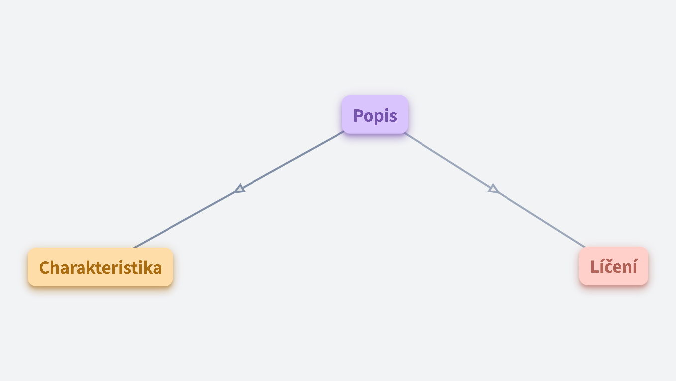 Popis, charakteristika, líčení