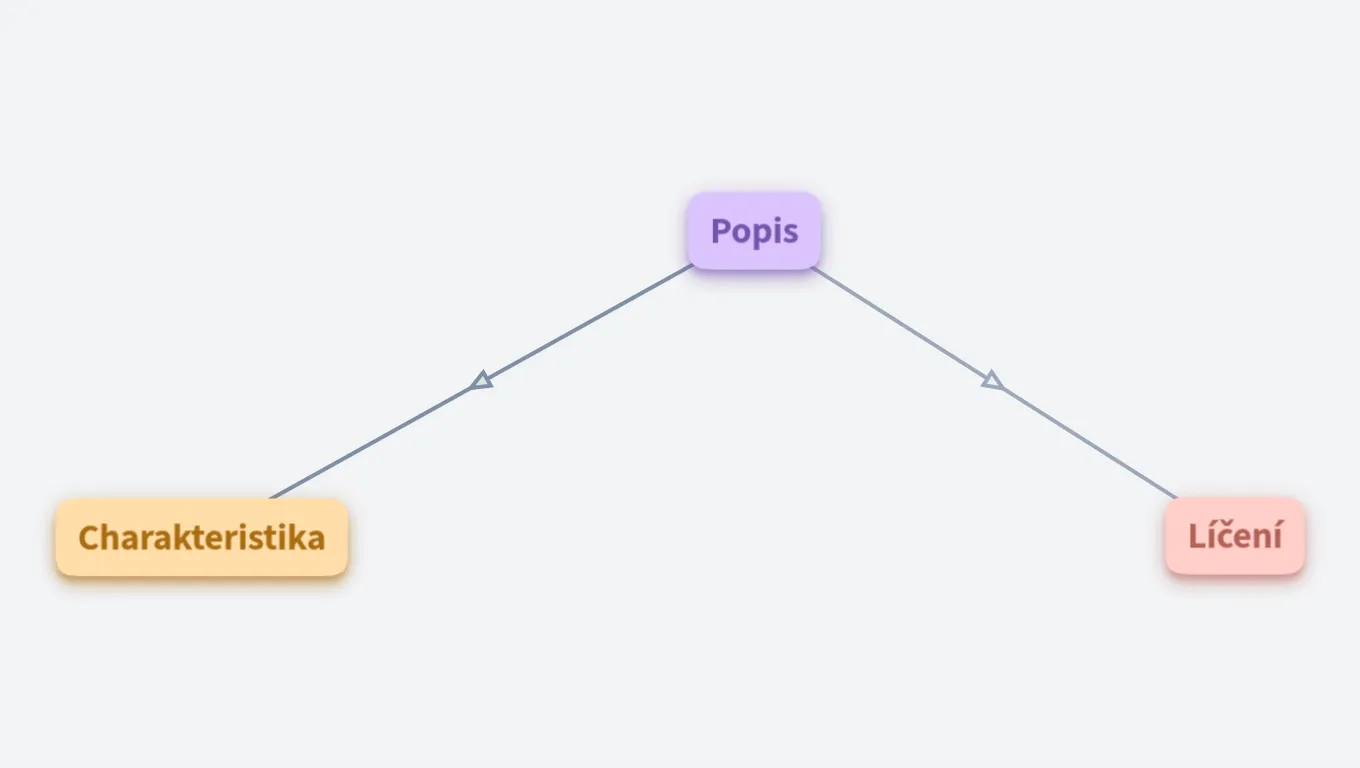 Popis, charakteristika, líčení