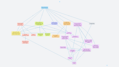 Tým Erasmus Heřmánek 