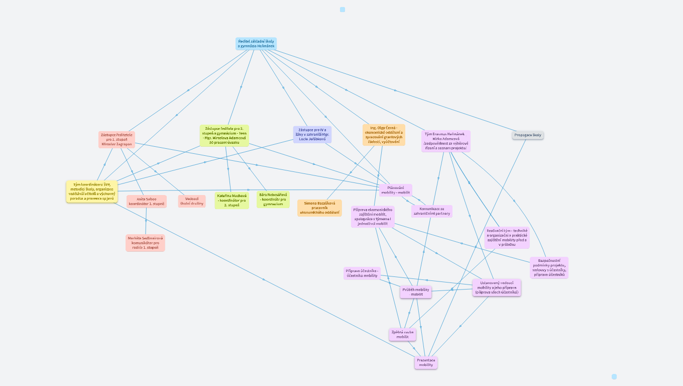 Tým Erasmus Heřmánek 