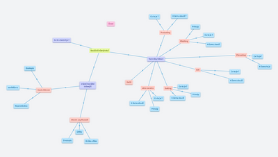Sociální Inženýrství