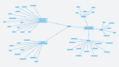 Vnitřní stavba těla savců