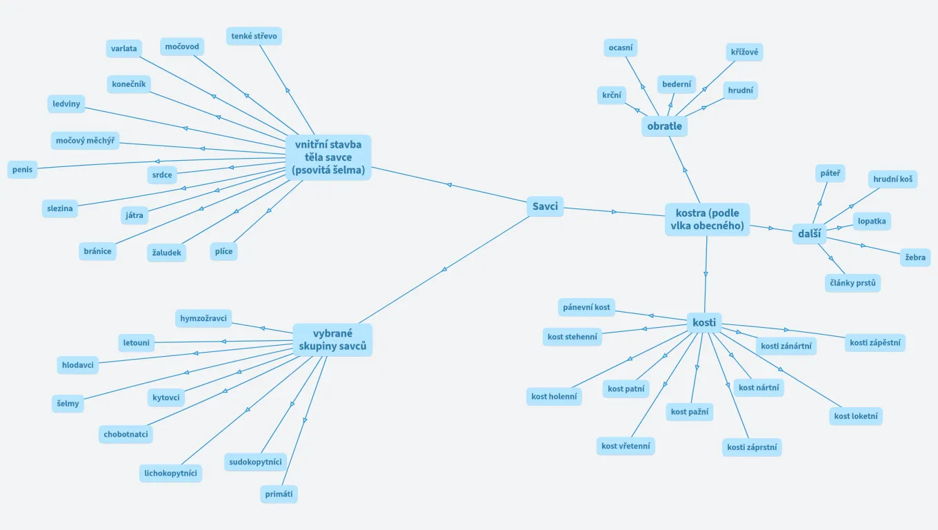 Vnitřní stavba těla savců