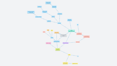 Racek myšlenková mapa