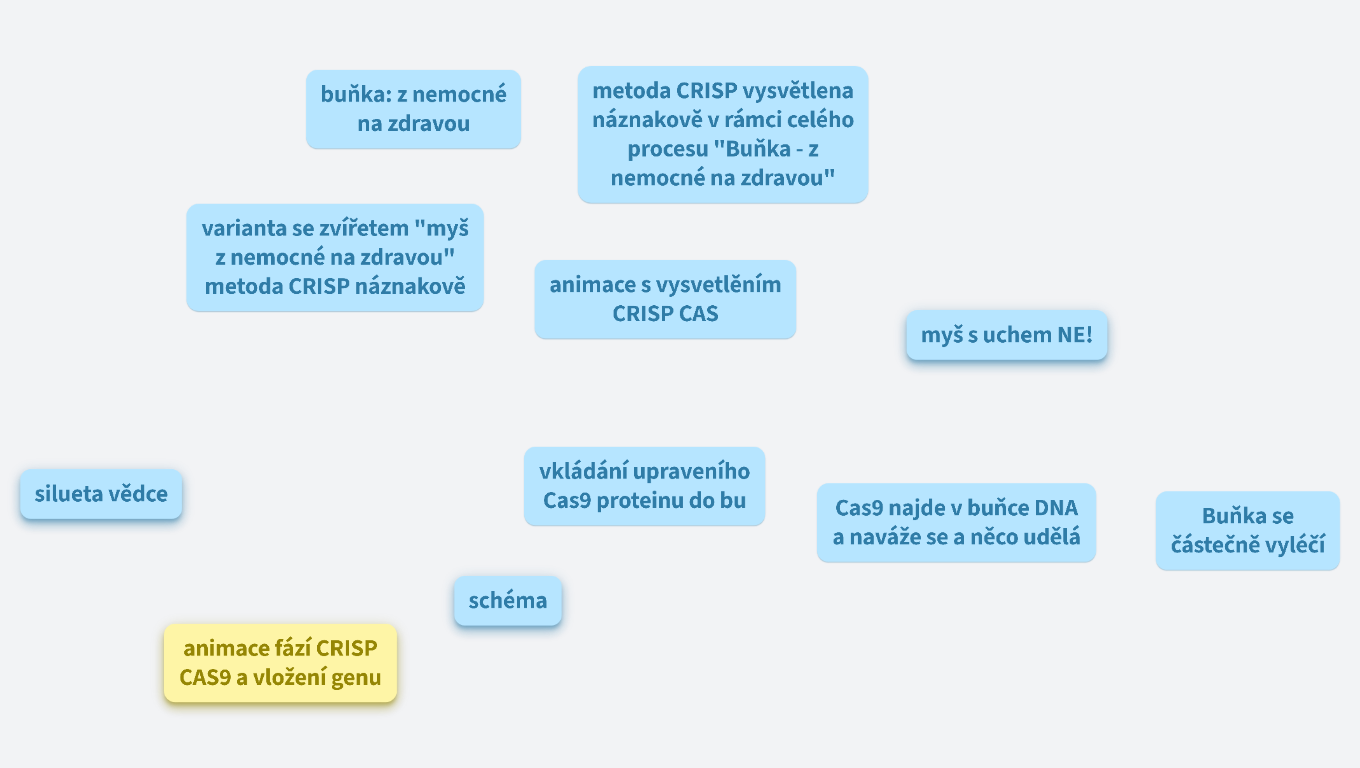 CRM Karin Savullidi Vargová - prototyp