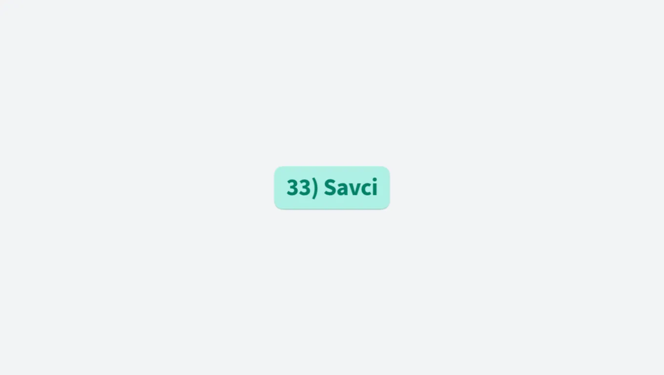 33) Savci
